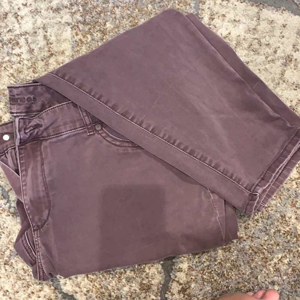 Mauve Jeggings - size 22W